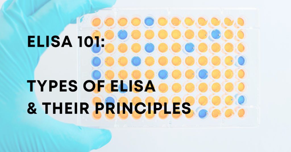 Types of ELISA