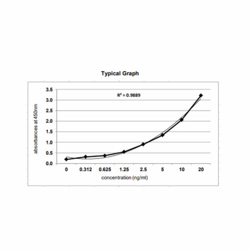 Anti-CHO HCP Antibody