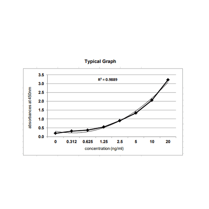 Anti-CHO HCP Antibody