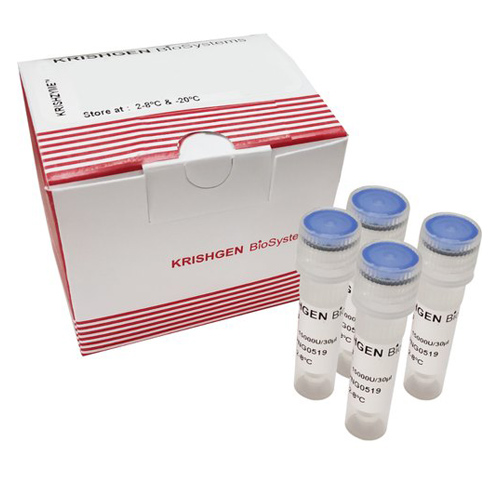 10 - 180KD Prestained Protein Ladder